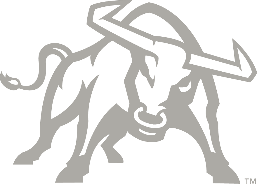 Utah State Aggies 2012-Pres Alternate Logo v4 diy fabric transfer